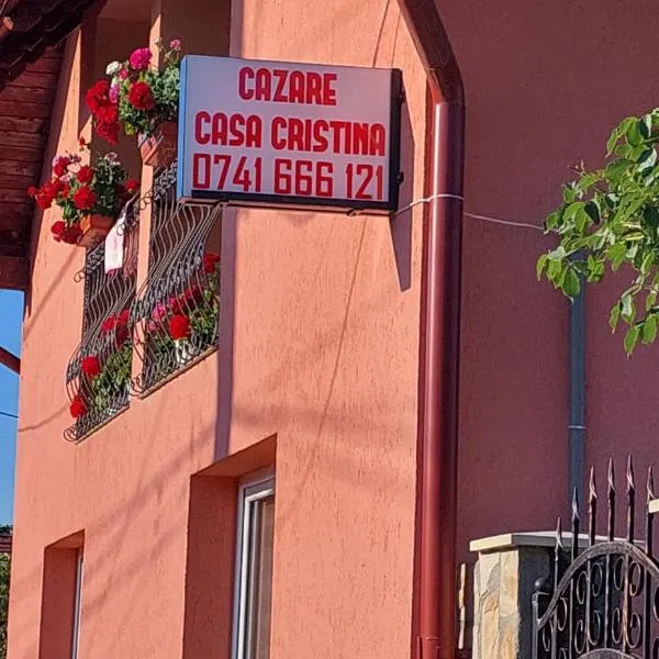 Casa Cristina, hotel v destinaci Cîrţişoara
