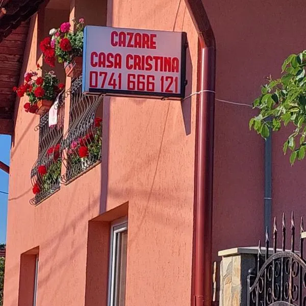Casa Cristina, hôtel à Cîrţa
