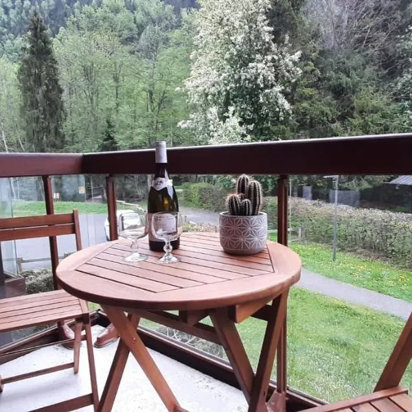 Un havre de paix aux pieds des chemins de montagne, hotel en Les Contamines-Montjoie