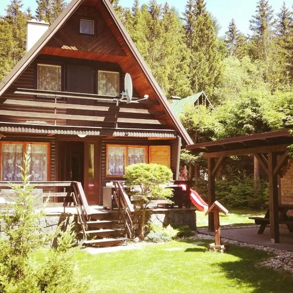 Chata Vysočina, hotel v destinaci Svratouch