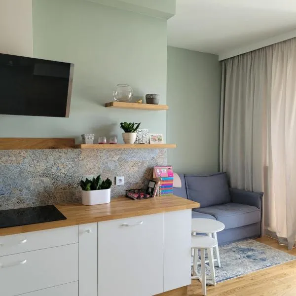 Elegancki Apartament, hotel in Puławy