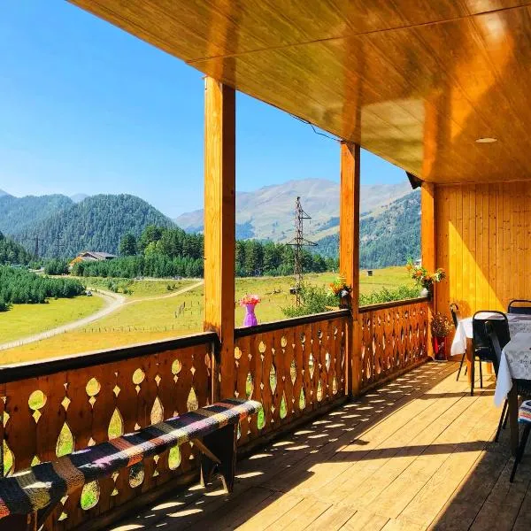 Guest House Gere, hotel v destinaci Omalo