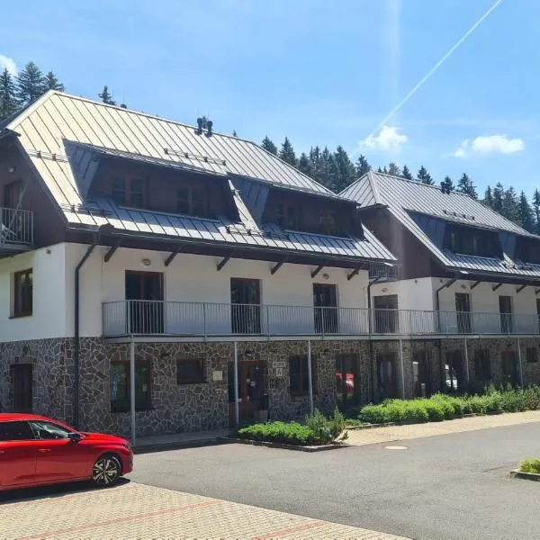 Penzion Dominik, hotel v destinaci Železná Ruda