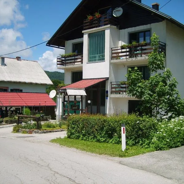 Guest House Raukar, hotel u Tršću