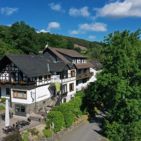 Landidyll Landhaus Liesetal, hotelli kohteessa Hallenberg