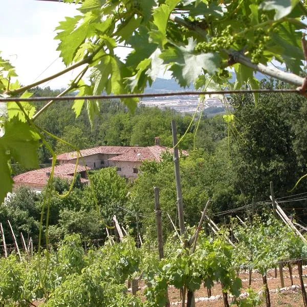 Agriturismo Ca' Verde, hótel í SantʼAmbrogio di Valpolicella