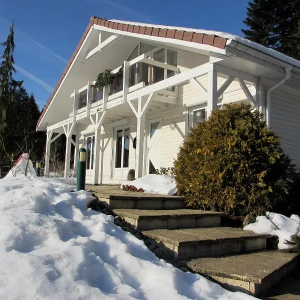 LE CHALET BLANC - JACUZZI / PISCINE / SAUNA, hotel v mestu Gérardmer