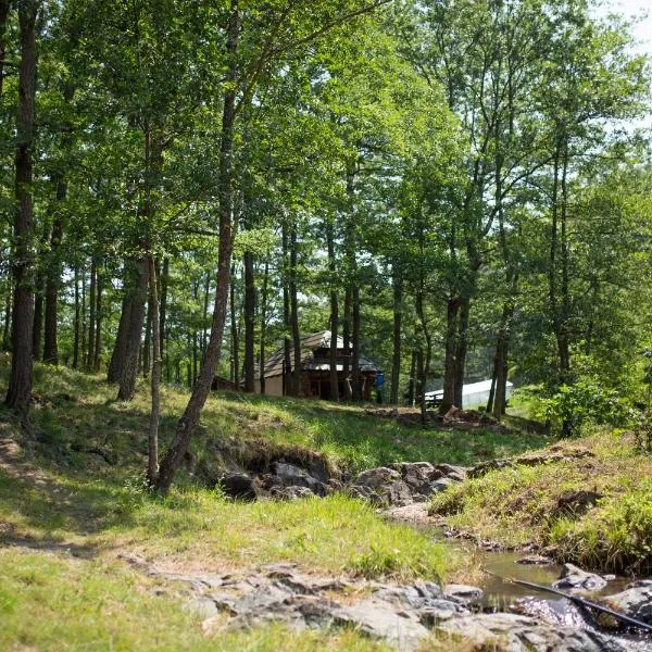 Brvnara Mila Vila, hotel in Pranjani