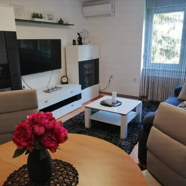 APARTMAN D&D***, viešbutis mieste Varaždinas