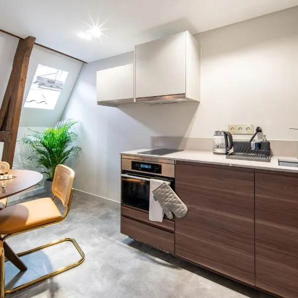 Family penthouse 7-Minutes from Rotterdam Central Newly Build top floor terrace R5, hotel v destinaci Schiedam