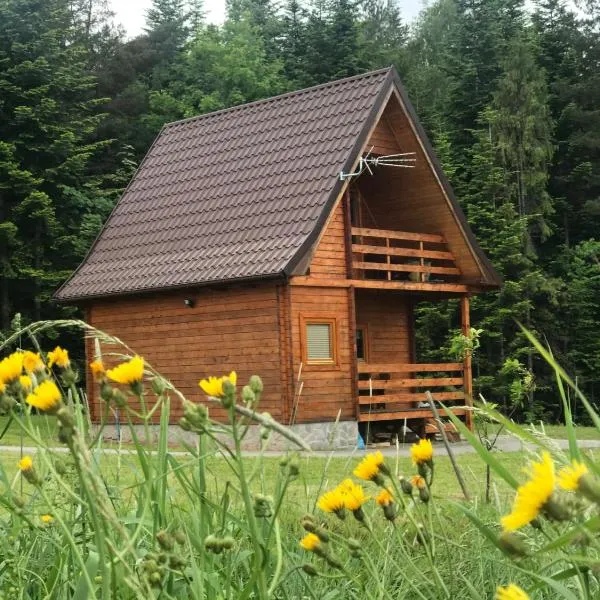 Domek letniskowy Biedówka, hotel em Limanowa