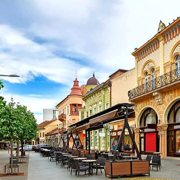 Centar lux 2, hotel em Zrenjanin