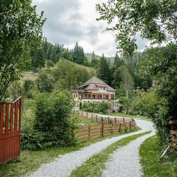 Pensiunea Giulia, hotel en Vîrtop