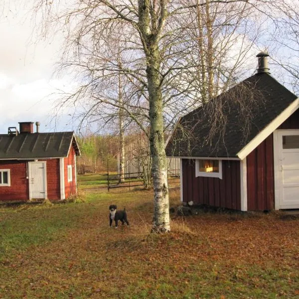 Farmhouse Tervamäki, hotel in Räätäniemi
