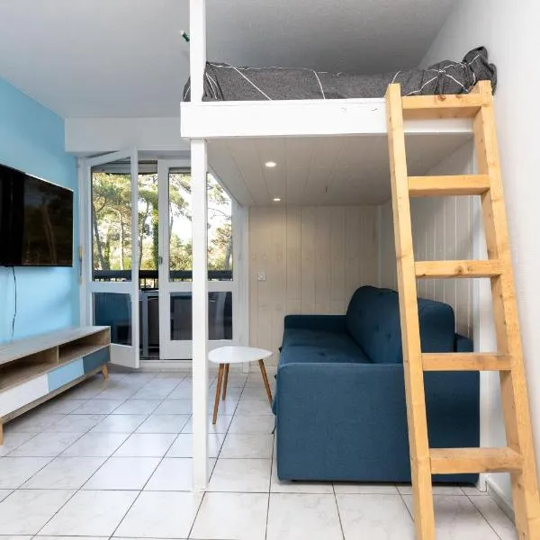 Studio Seignosse proche plage, hotel in Seignosse