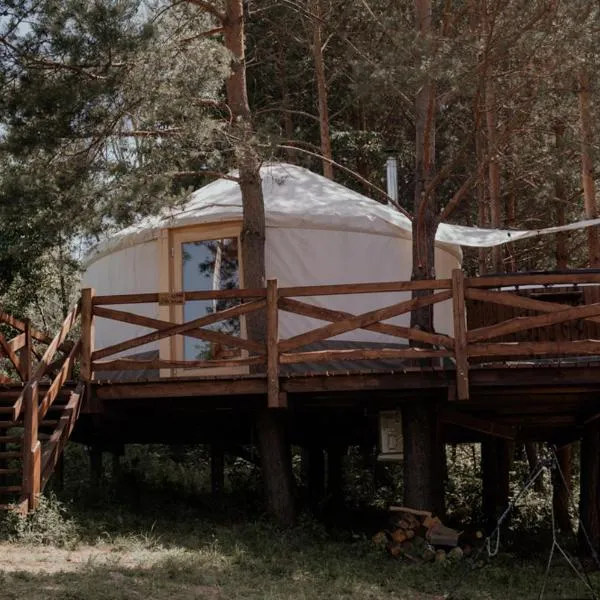 Jurty z widokiem, prywatna balia- DZIKOLAS GLAMPING, hotel v destinaci Krasnobród