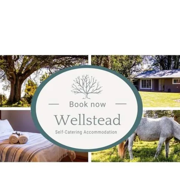 Wellstead Country Manor, hotel v destinaci Haenertsburg