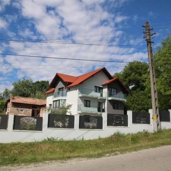 pensiunea ALBERO, hotel em Valcea