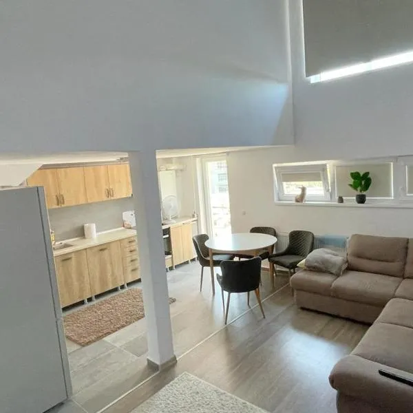 Apartament STEFI 10, hotel sa Sighişoara