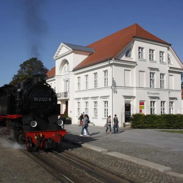 Hotel Prinzenpalais Bad Doberan, hotel in Bad Doberan