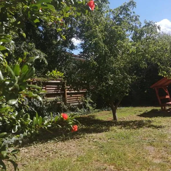 Rákos-patak Family House Garden & Free Parking, hotel in Budapest