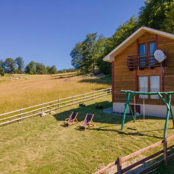 Planinska kuća Petrović, hotel v destinaci Zaovine