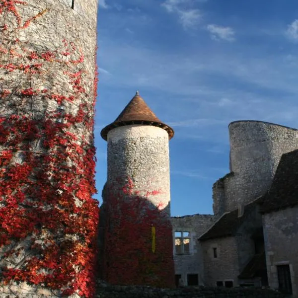 Chateau d'Ingrandes, hotel em Ingrandes