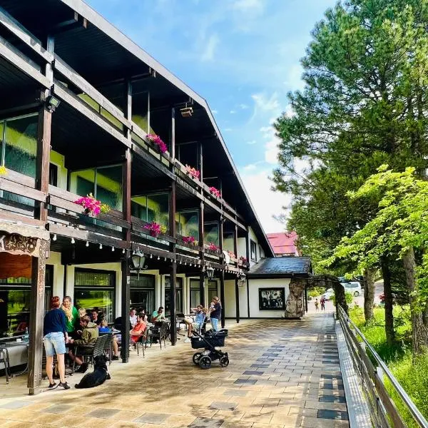 Landhotel Tanneneck - ideal für Gruppen, Familien und Hunde, Hotel in Dittishausen