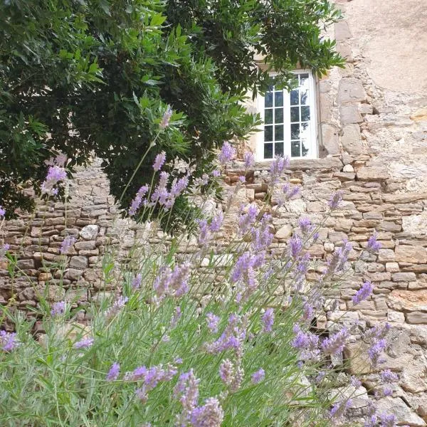 Partie de Château du XI ieme à Canet d'Aude、Canet d'Audeのホテル