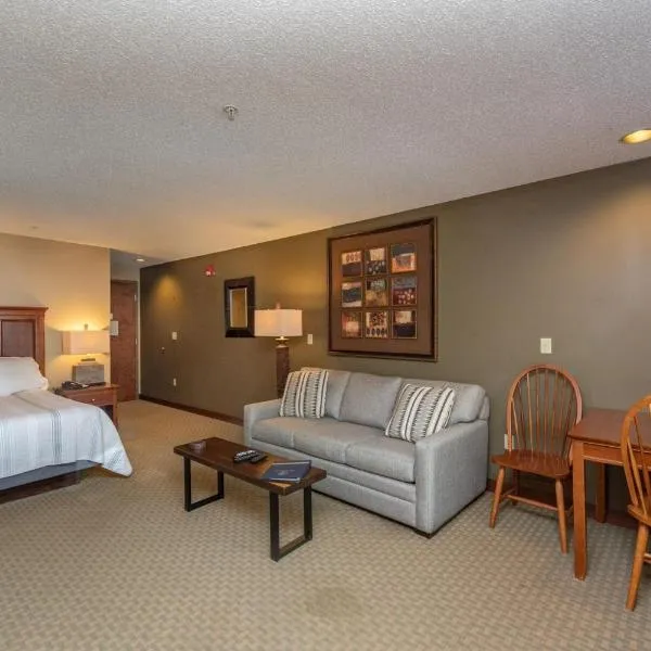 A118 Studio Standard View, hotel in McHenry