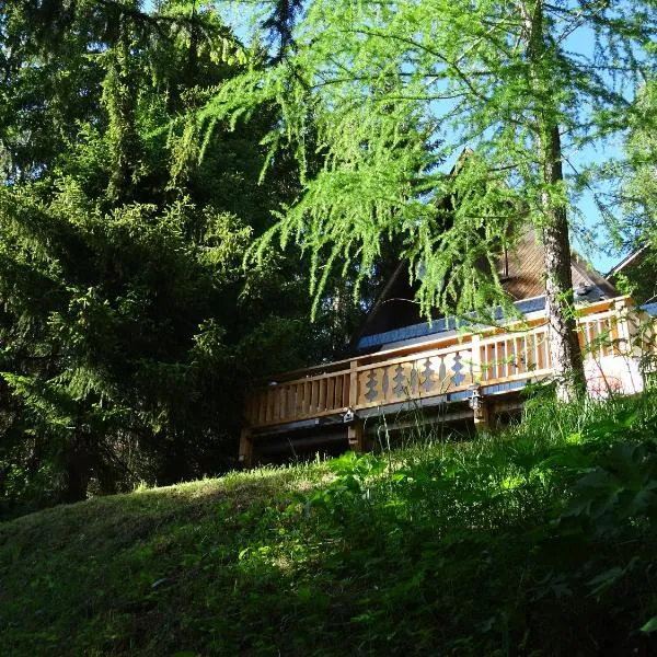 Chalet La Foux d Allos centre Station, hotel v destinaci La Foux