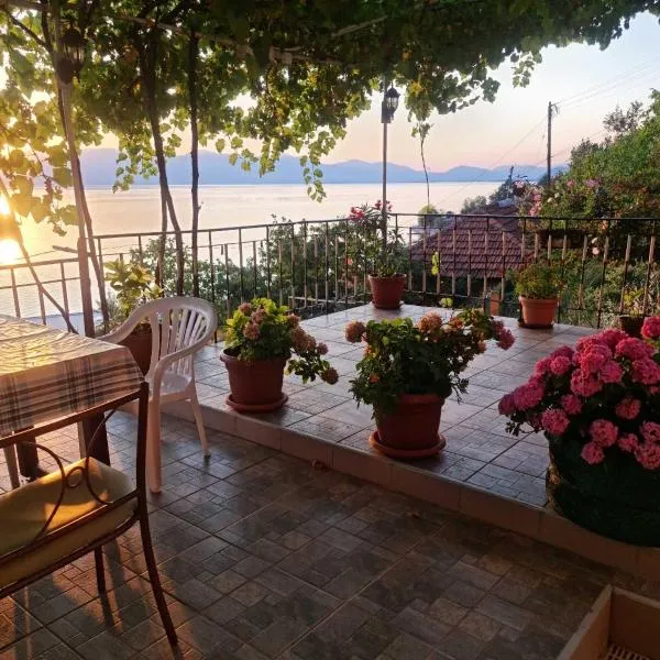 Sonce Guest House, Hotel in Ohrid