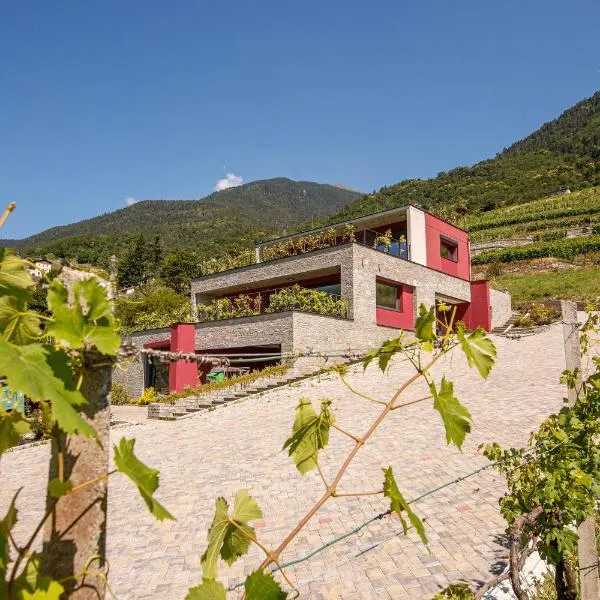 Nebbiolo Wine B&B, hotel v destinaci Castione Andevenno
