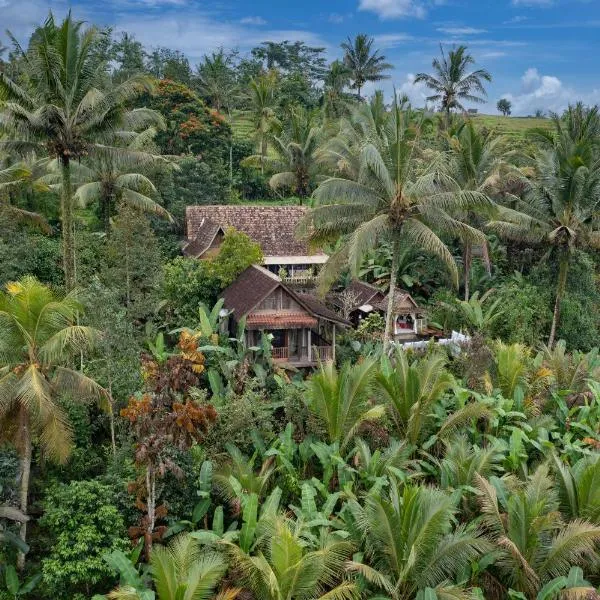 Nienté Bali: Penebel şehrinde bir otel