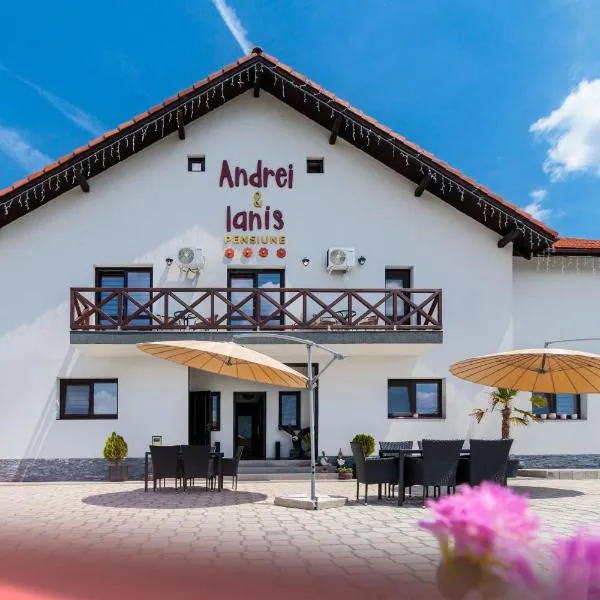 Agropensiunea Andrei & Ianis, hotel en Dăeşti
