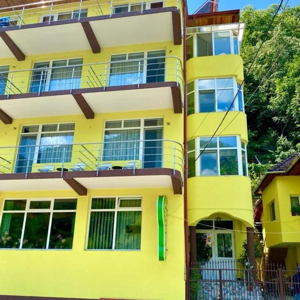 Pensiunea Argus, hotel v destinaci Băile Herculane