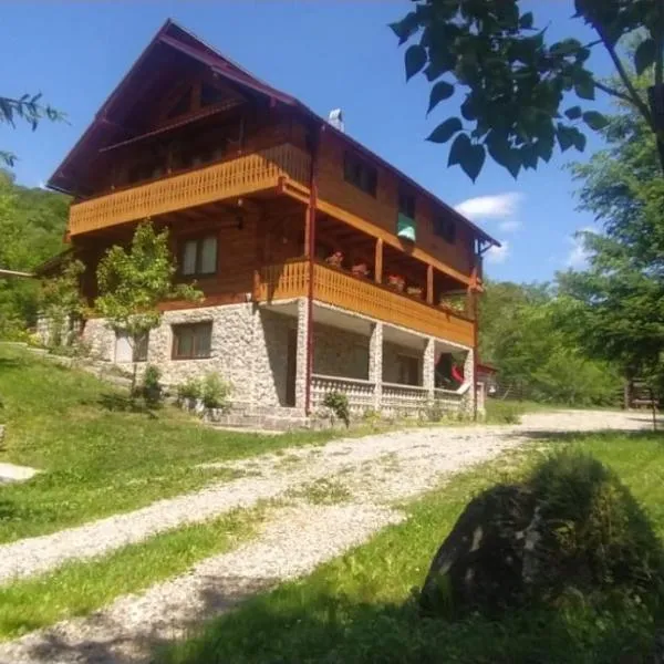 Pensiunea Simina, hotel in Vişeu de Jos