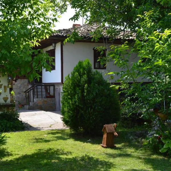 The Old House Guest House, hotel in Byala Ruse