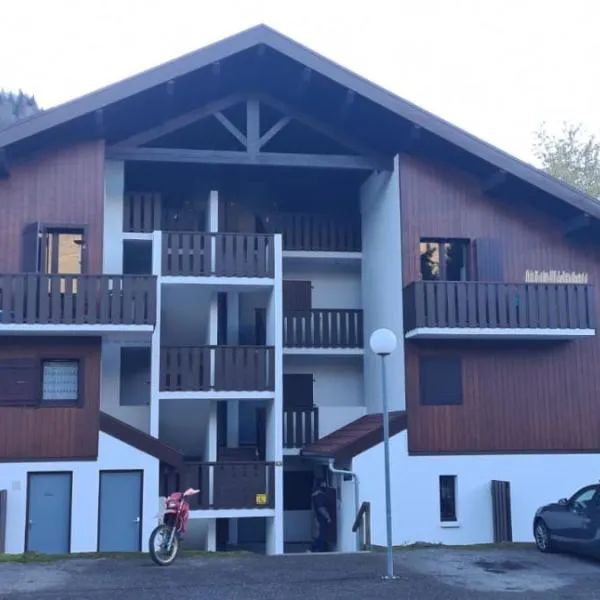 Appartement de station rénovée avec parking, hotel in Villard-sur-Boëge