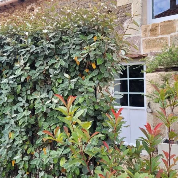 Au creux des vignes, hotel in Les Verchers-sur-Layon