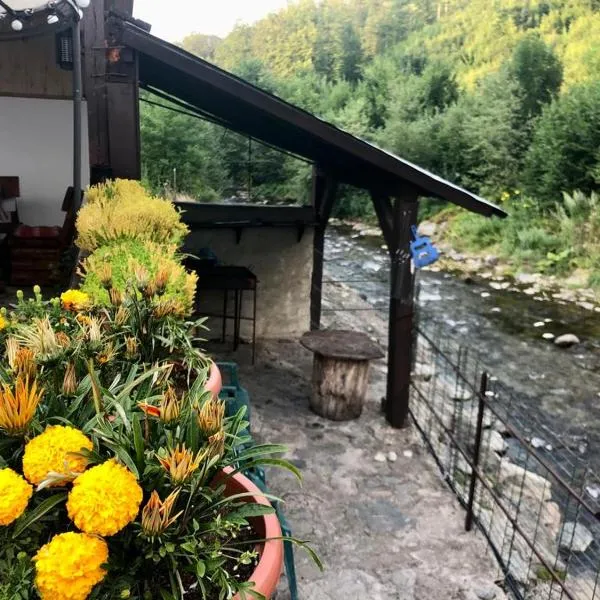 Podul De Brazi - Fir Bridge，科希夏拉的飯店