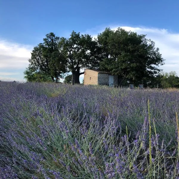 Cabanon du berger, hotel v destinaci Saignon