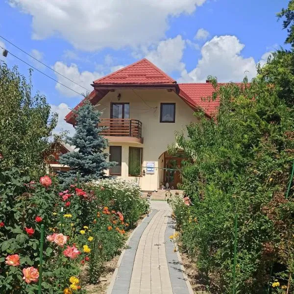 Agropensiunea Florina-Maria, отель в городе Cristeştii Ciceiului
