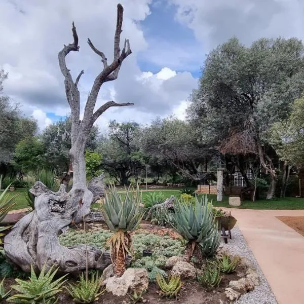 Olienhoff Guesthouse, hotel di Otavi