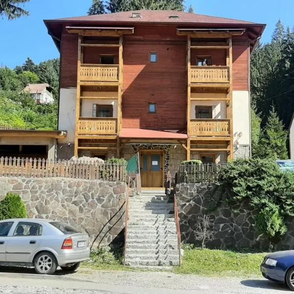 Villa Hope (Vila Speranta), hotell i Băile Tuşnad