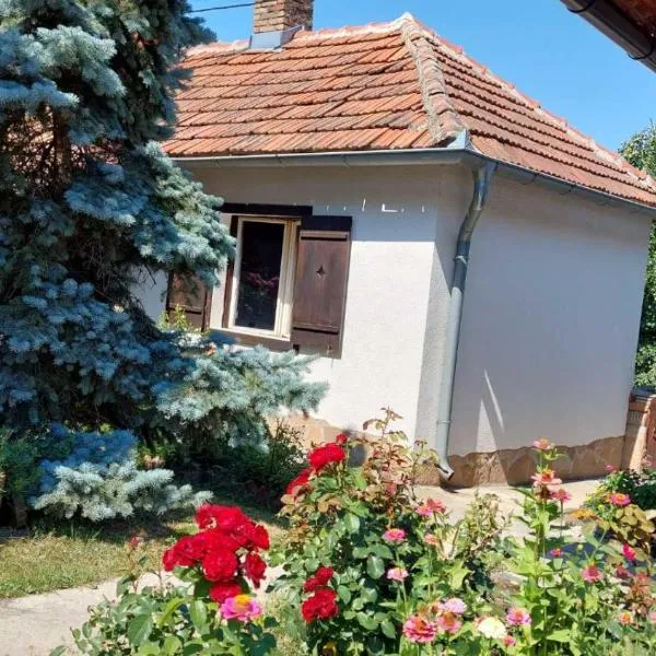 Apartman Nebojša, hotel en Dragolj