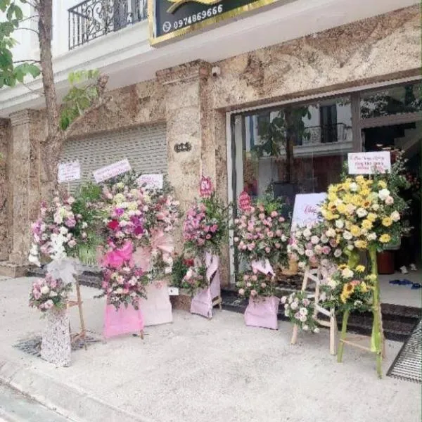 Hotel The Quin, Hotel in Tiện Hội