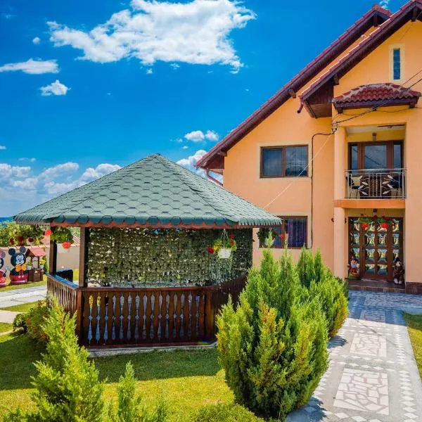 Pensiunea Adrian, Hotel in Novaci-Străini