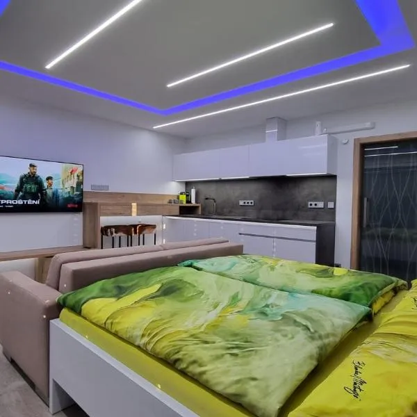 Apartment No. 29 - Riviéra Lipno nad Vltavou 511, hôtel à Lipno nad Vltavou