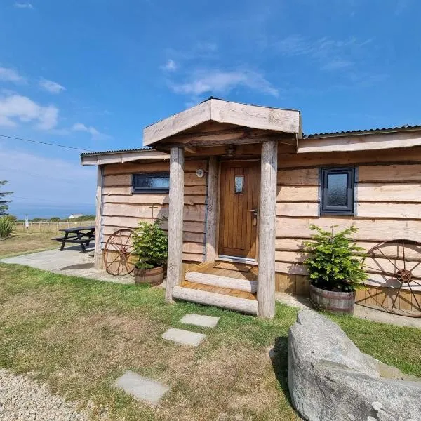 Byre Cottages & Log Cabin, hotelli kohteessa Cardigan